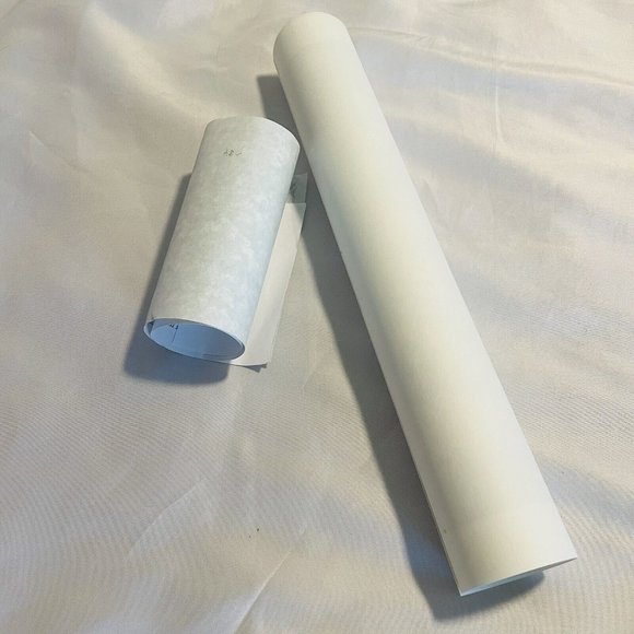 Beaconhill Collective Spring Bird Limited Edition 480/1000 Giclee Print 12x20.5” - Picture 12 of 12